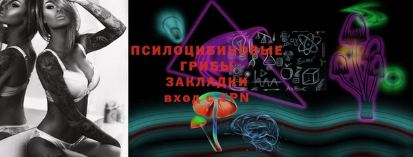 тгк Аркадак