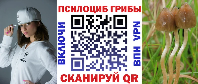 Купить закладки  Омутнинск  Псилоцибиновые грибы Psilocybine cubensis 